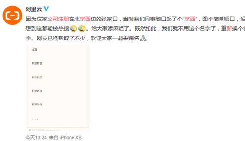企業(yè)命名之“簡(jiǎn)單順口” 從“京西”到“信息咨詢服務(wù)”的命名哲學(xué)